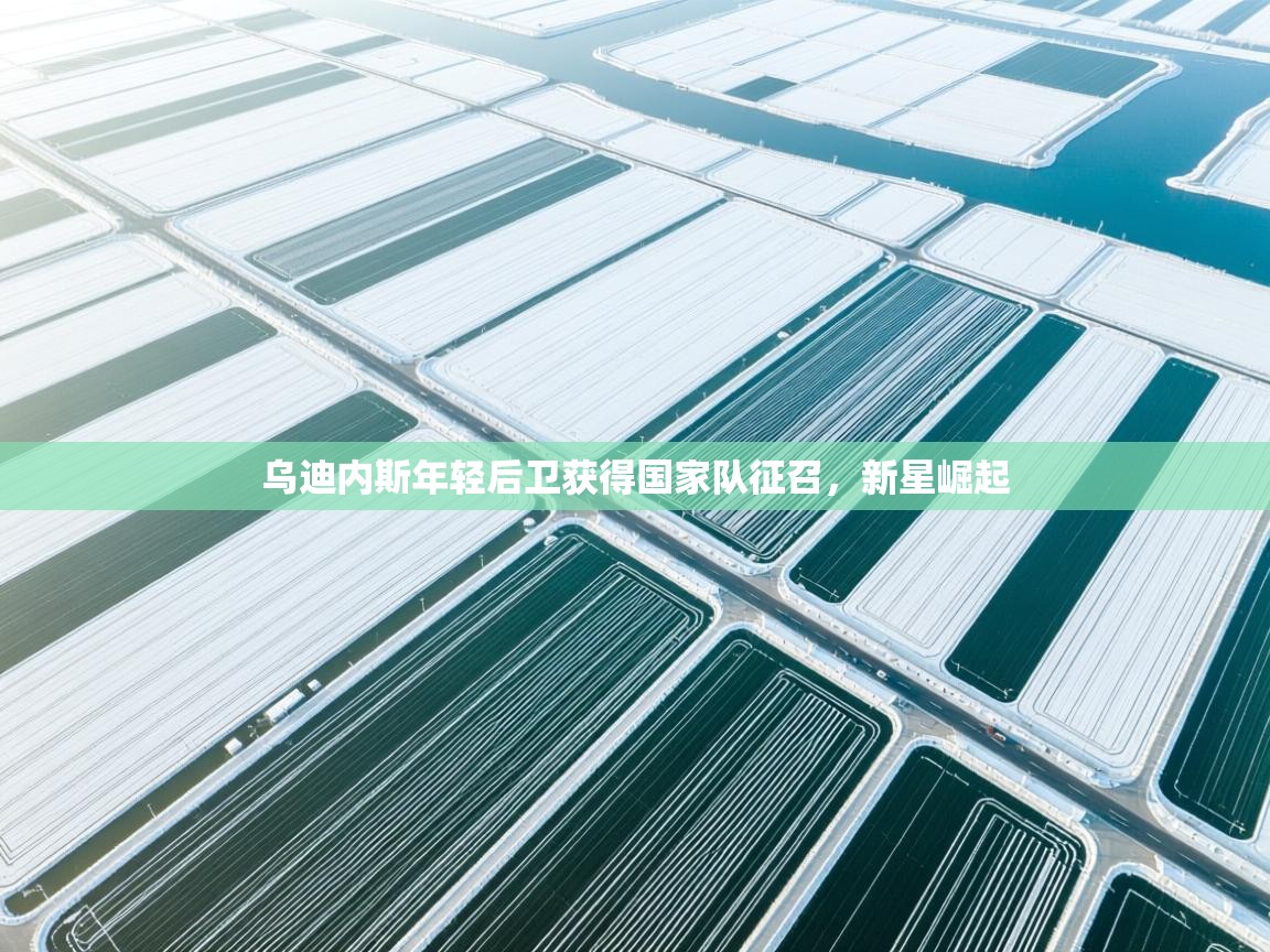 乌迪内斯年轻后卫获得国家队征召，新星崛起