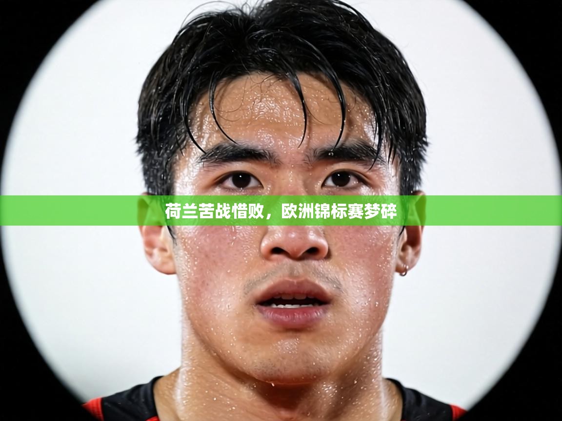 荷兰苦战惜败，欧洲锦标赛梦碎  第1张