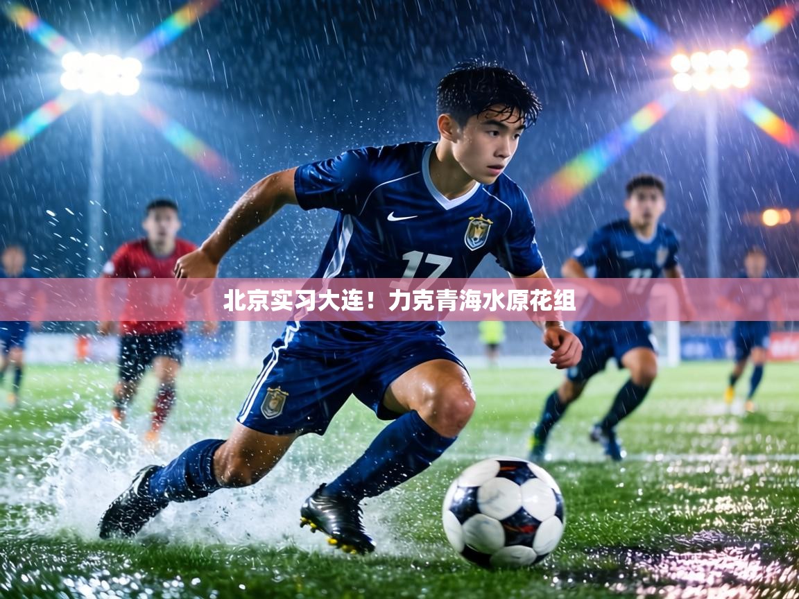 北京实习大连！力克青海水原花组